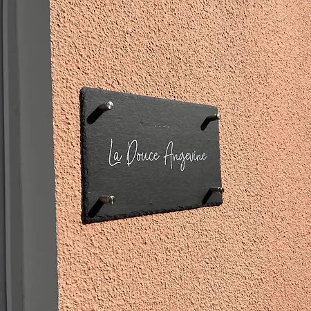 La Douce Angevine Appartement Angers