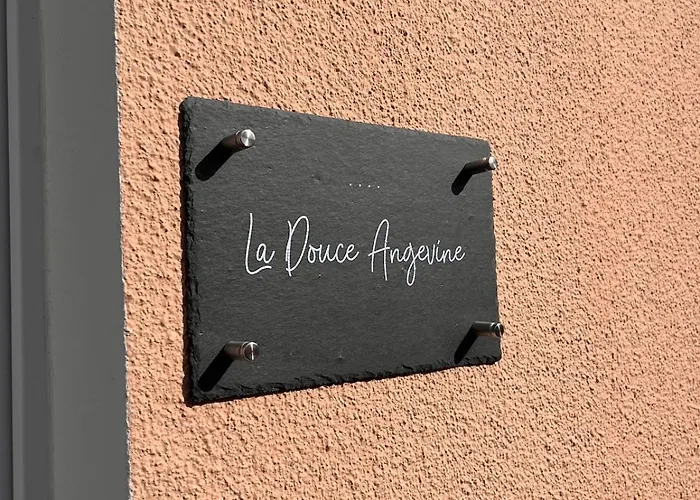 La Douce Angevine Apartment Angers